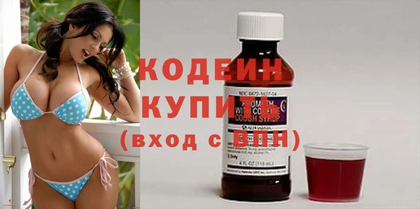 прущий лед Бородино