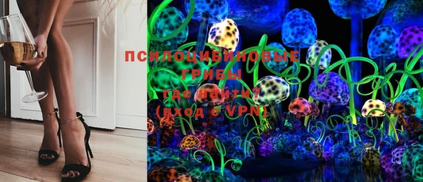прущий лед Бородино