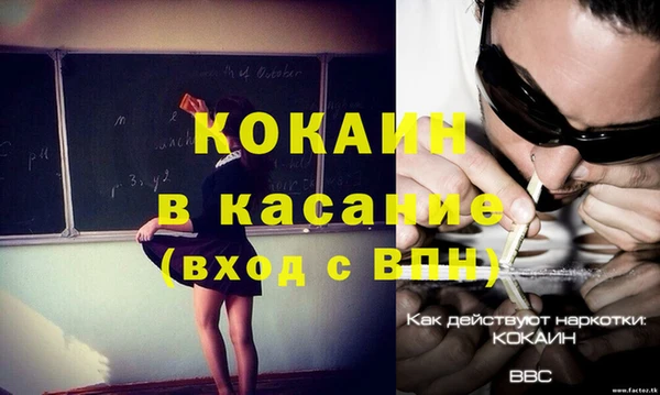 прущий лед Бородино