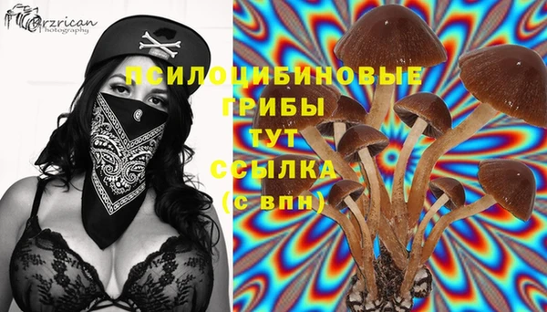 гашишное масло Бугульма