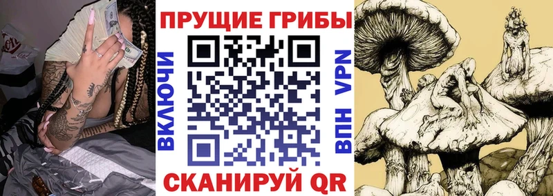 Псилоцибиновые грибы MAGIC MUSHROOMS  кракен маркетплейс  Межгорье 